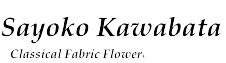 sayoko kawabata